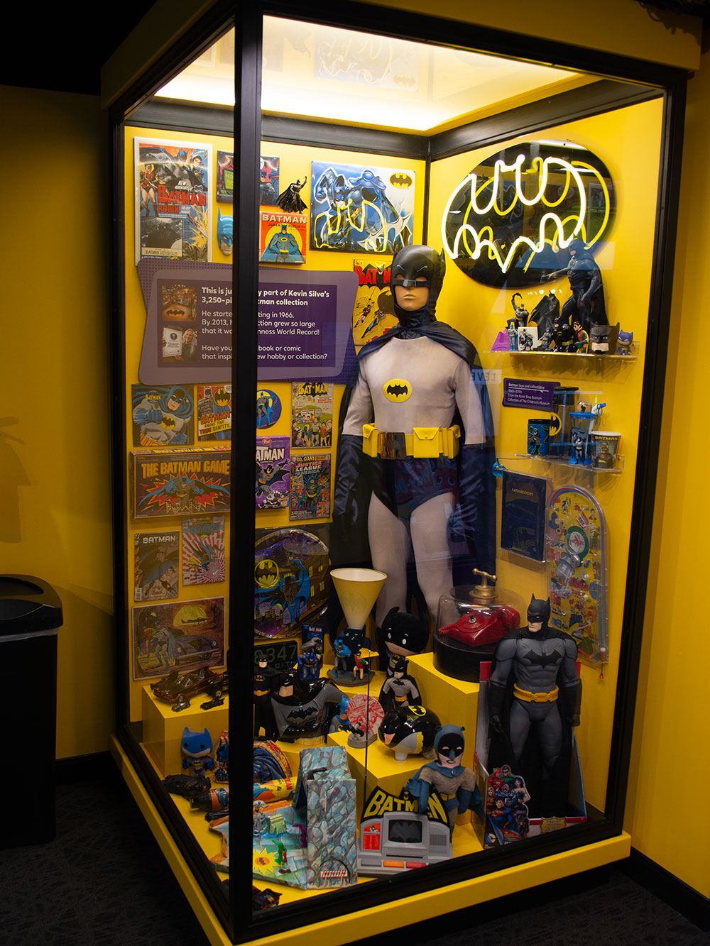 Kevin Silva Batman Collection